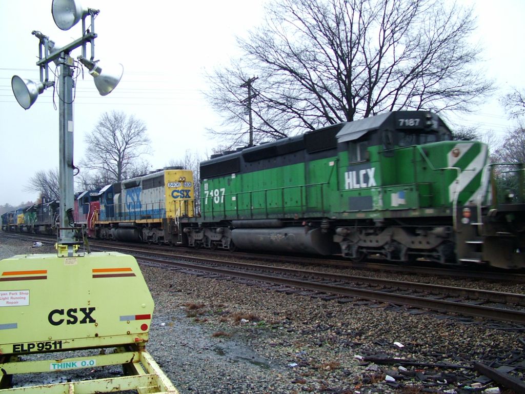 In full bloom and all running no less